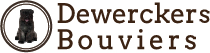 Dewerckers Bouviers