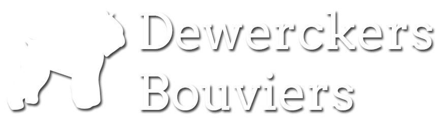 Dewerckers Bouviers