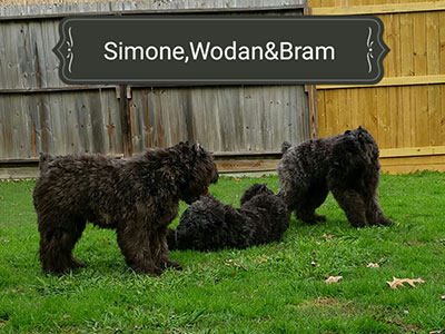 "Simone"