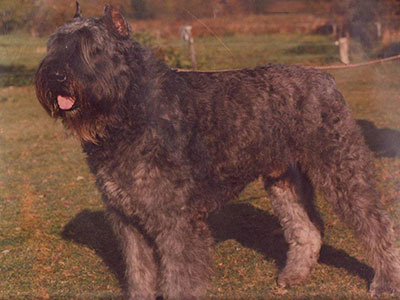 Ekabu