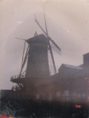 History of Dewerckers Bouviers