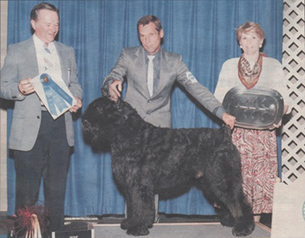 Ch. Derwercker Wodan Dumars (son of Ekabu 1980's)