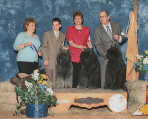 Family Affair Feb. 2011- Mick Coyne with Ch. Dewerckers Stella Artios, Cristy Coyne with Ch. Dewerckers Freddie, Pat Coyne with War Party Bouviator Derckers Gunner
